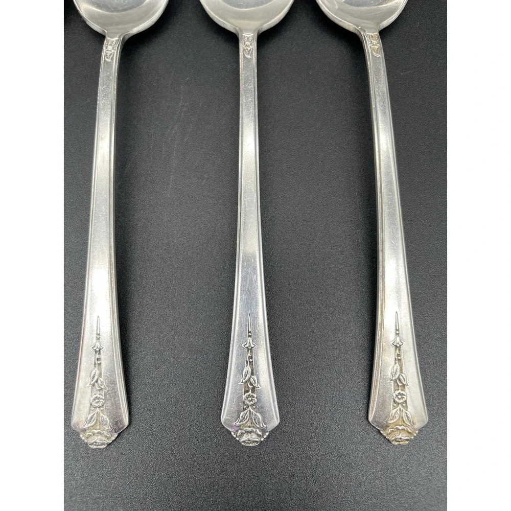 Silver Plate Tablespoon/Serving Spoon Set Of 6 Spring Garden International